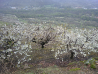 2a3e8384ce863d9c374914588e51ad17