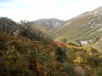 2ab043071257d35cfa5dc43dffb1e4b3