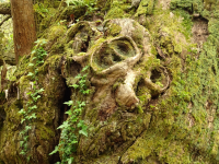 2b1a4c8fb1ec87ba4b7c2ca24d291b77