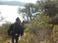 2c239c68909a0f27c75247bf2b41054d