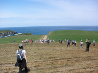 2c9686e763be991598cf012f9452d02e