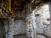 2e9dd64f23014939c84be41d5aaec9e8