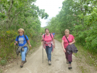 2eaa52504049ac357334c03d7e5bed06