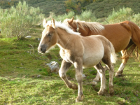 2eff4007674564c352c2d60ae0ed62bd