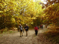 2f164f07d4570b0bf77124e61d7aefca