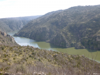 2f82190db41082cd4f6acd92679b392e