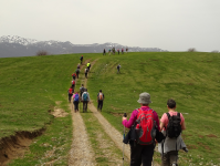 309d9130e825a080ef9e67a7288fdfcd