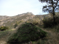 3113c17ae0a4a47b0a61bea4cb4a292b