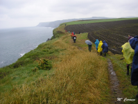 320e8ca5906215f242cc9ec74fb4721e