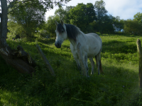 337ab2a8d441bc61481cefeeb452ebfc