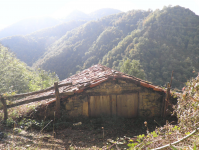 33e7ef2b5329eac81ba4e19e7ab06809