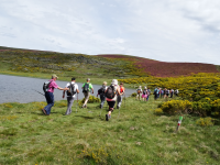 347c18b98f16691b71b3523bdb081e91