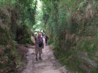 34bc751415f6c5369f429d7468ca790a