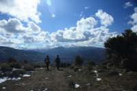 35862a4a49a40bcf24729e3a0dbe9a95