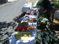 370bfd1425601a2932c275d590793712