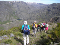 37b39064d4bc21528329a63279d19b29