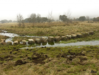 385751754f657603e17e622ba733d8ed