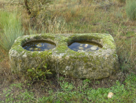 39e628dda9946788220aa85f5ad2886c