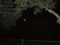 3a23dfe2973489c548949a9f318a754d