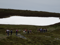 3a7232ed2ca0b0826ef1877201b7d2bb