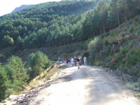 3b1bb6ab944a31359921e08dba6f06f9