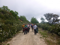 3b21d6e73bef460ba5bf56666c40eb73