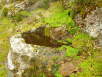 3bef32bb21a0ea23814d80db557fd2e7