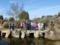 3c17b77729d382d745781fbc7fcbd3b6