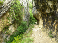 3d5b9684bd5bf90a458d8074c80f591e