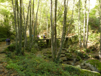 3fae8efb64009d7b37c68af4474528ca