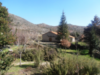 3fc49d79ba40f67eafb0f875f70d0991