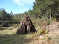 402cad789848df08c698543d9fa08d36