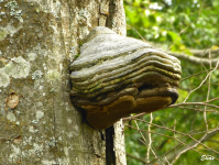 404415fb8acabfd004c140f8385267b8