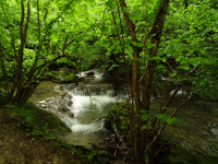 4105cf32261a98396432c90b34e9a599