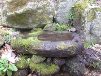 41a68a20f0d32041b31f4ae4db371edc