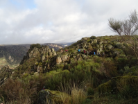 4240260c93aae7ade34067a0a2d24d29