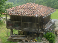 4461078a97998fdb18e1237440ffff6e