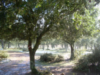 44c4bbfd402745ce5ed606db948b8008