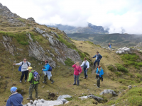 44fdcb3faf9dd7226e98430f7e04a633