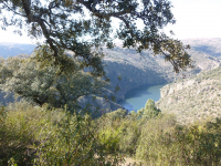 4607b3b6b1e03c91ff7d3d41e2c59ee5