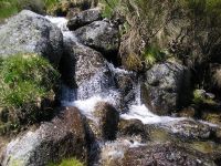 475b5b3d6a1928fabd763e2705f05f07