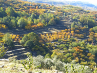 47b6e90e1fd2f303803eba3a985fd0ff