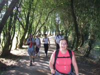 484af52045bc1e279624e1b0cdc5ffd0