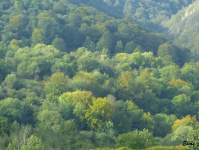 486a8f9b2fcbf061c935865e249ce442