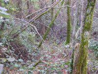 4893d52d5d161444b5cdc91ffddfcb27