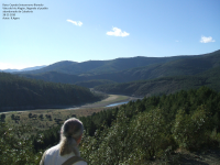 4903f346e9a4de4ac244ffb0261fe056