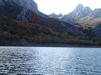 499ec828de718bee43776c1f72d3e974