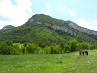 49fa563d54dc7d08bdfa81518e7db3a4