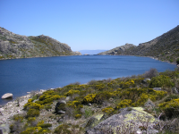 4b049761366a136ef9daadd5c1826be5