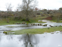 4b2f5975aaed9b62da806e2817831a10